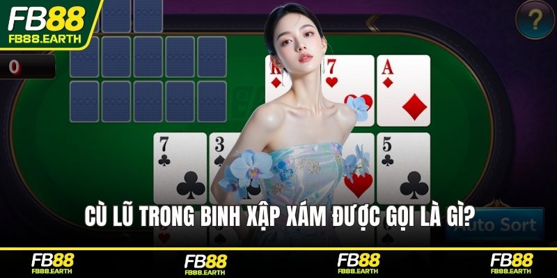 Cù lũ trong binh xập xám được gọi là gì?