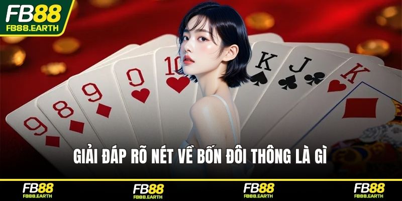 Giải đáp rõ nét về bốn đôi thông là gì