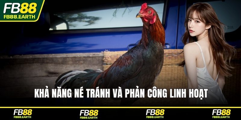 Khả năng né tránh và phản công linh hoạt