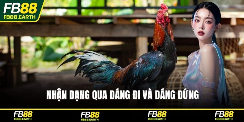 Nhận dạng qua dáng đi và dáng đứng