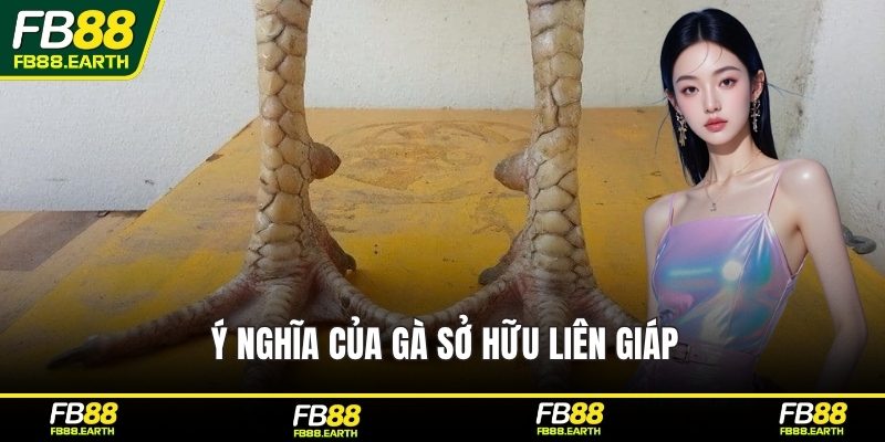 Ý nghĩa của gà sở hữu liên giáp